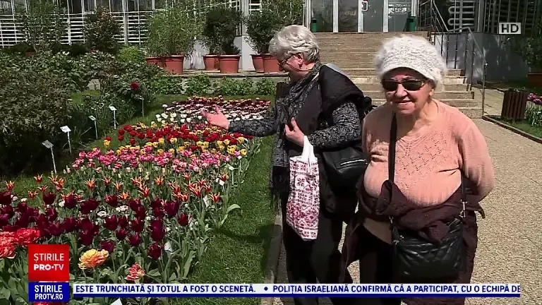 Spectacol de culori la Iași. Oamenii petrec ore întregi printre zecile de mii de lalele de la Grădina Botanică