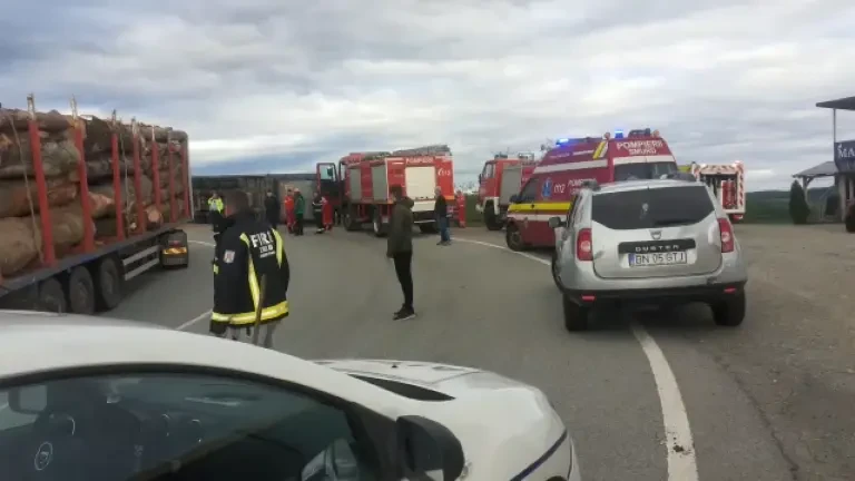 Un camion cu 400 de oi s-a răsturnat, iar zeci de animale au murit. În zonă se circulă cu dificultate