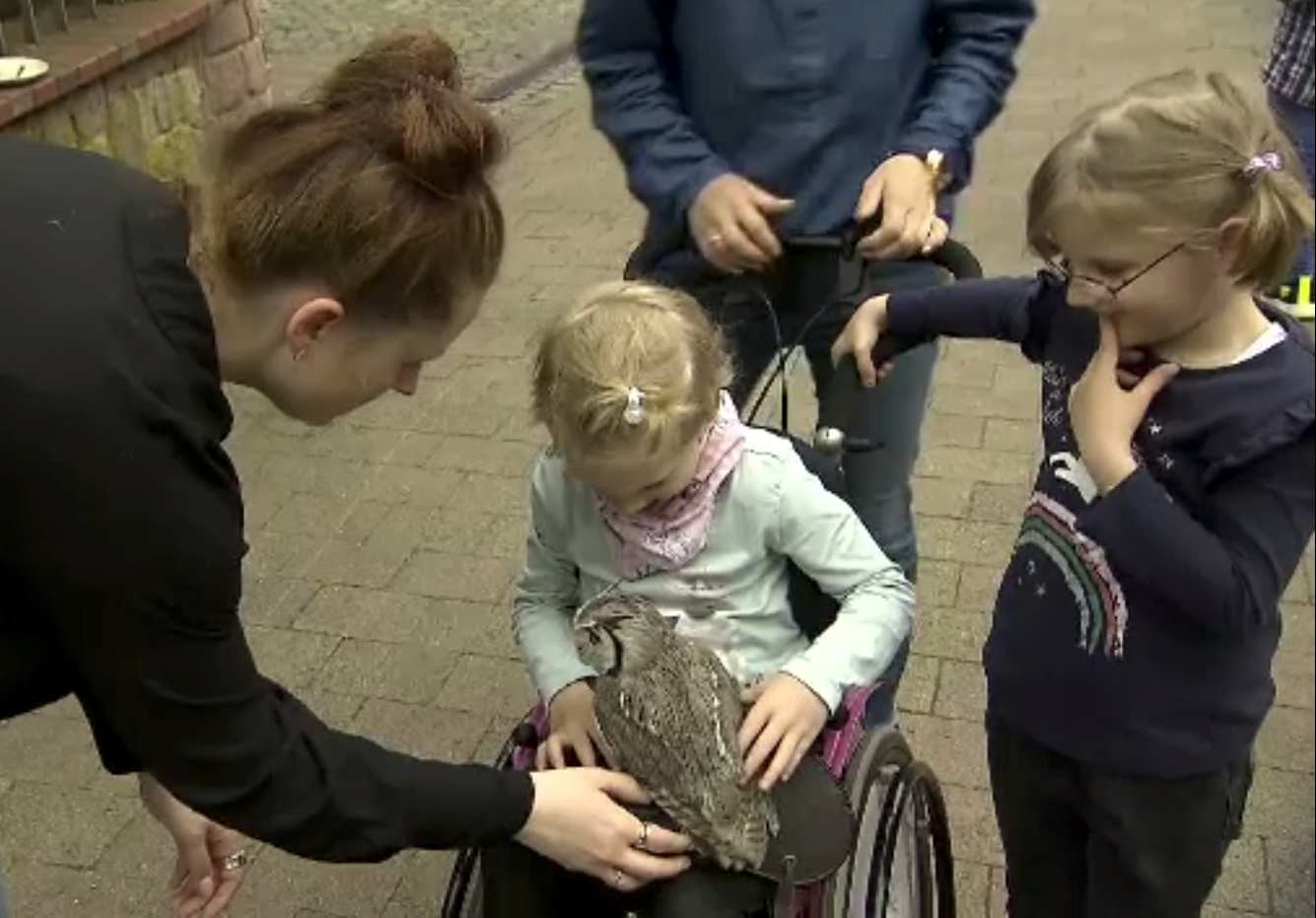 Bufnițele terapeute, alinare pentru copii bolnavi în fază terminală. Unde a fost implementat proiectul