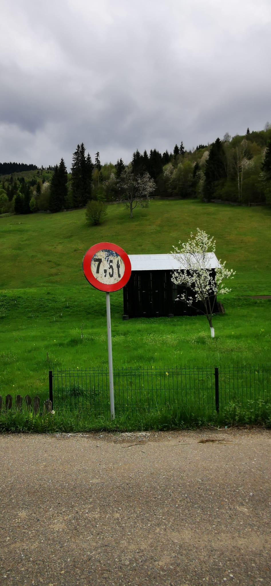 Un consilier local din Neamț a plantat ardei în gropile unei străzi dintr-o comună. Reacția primăriei | FOTO, VIDEO