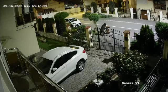 Un urs a fost filmat noaptea, în Sibiu, căutând mâncare în pubelele din fața locuințelor. VIDEO