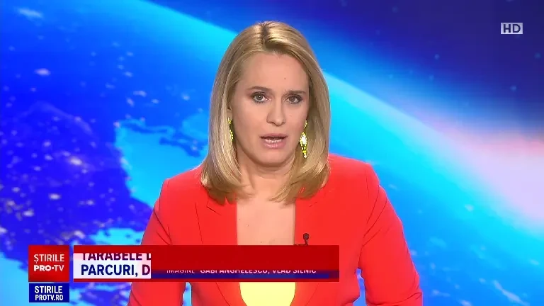 Castelul Peleș, unul dintre simbolurile regalității, este în suferință și are nevoie urgentă de reparații