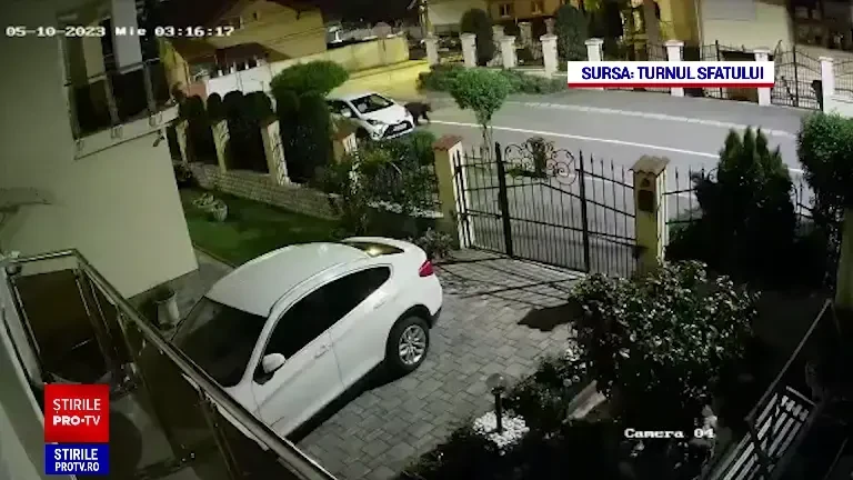 Un urs a fost filmat noaptea, în Sibiu, căutând mâncare în pubelele din fața locuințelor. VIDEO
