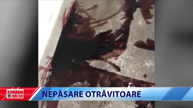 spital, pediatrie, Timisoara