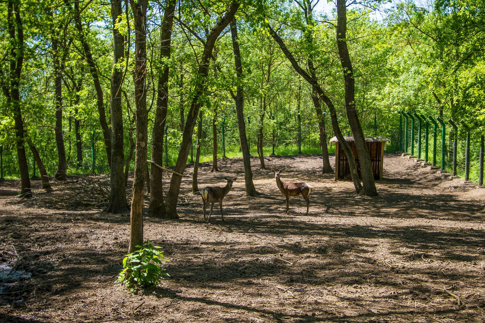Galati obiective turistice