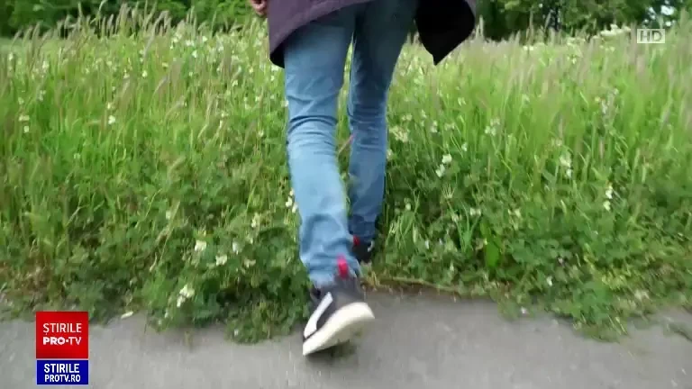 Ce se întâmplă în corpul unui alergic la ambrozie, după ce intră în contact cu planta. Unii au atacuri de panică