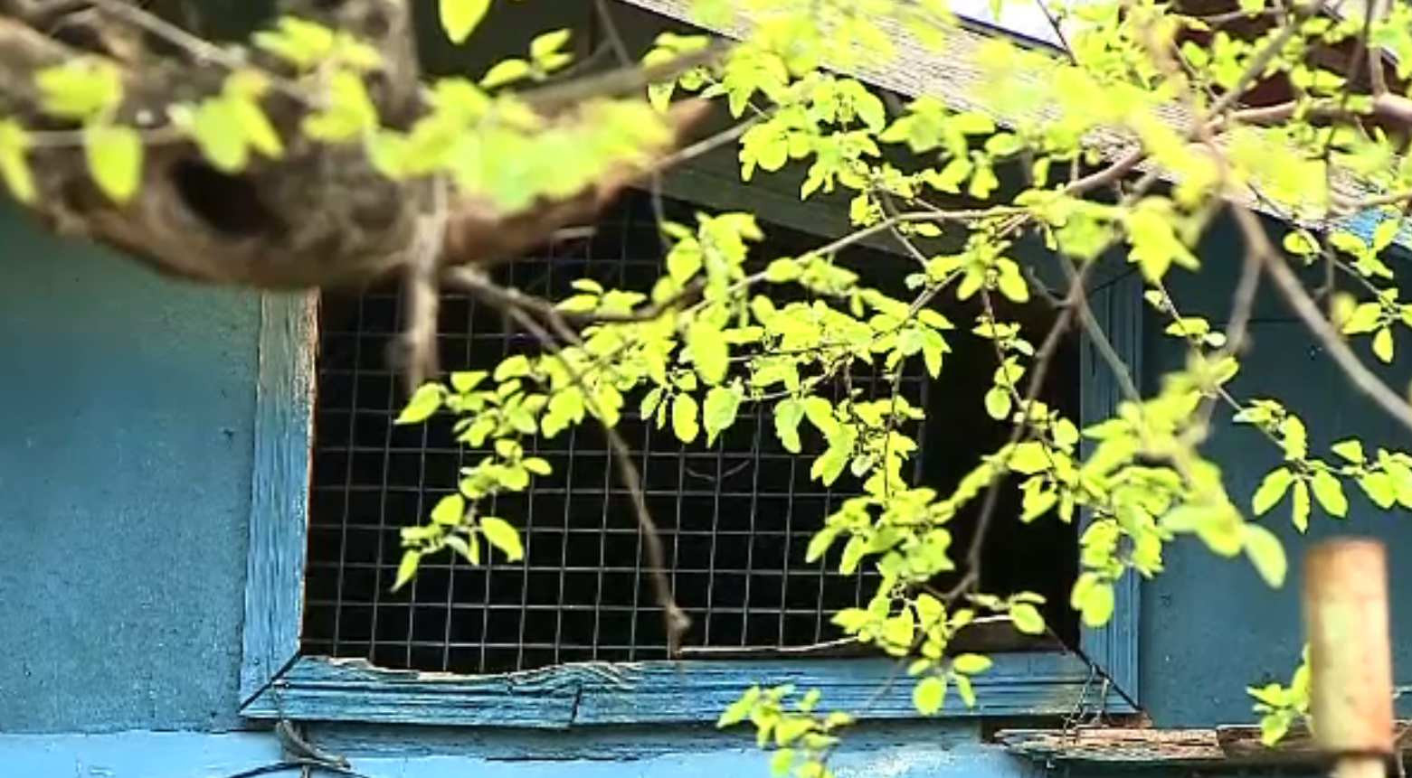 Un bătrân de 96 de ani și-a ucis soția de 82, în Vaslui. Vecină: „Zicea că parcă e nebun”