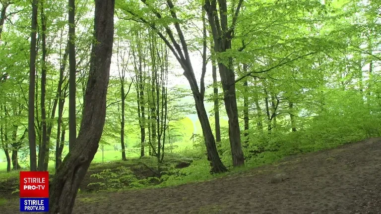 Românii se pregătesc pentru minivacanța de Rusalii. Proprietarii pun la dispoziție cabane în locuri pitorești