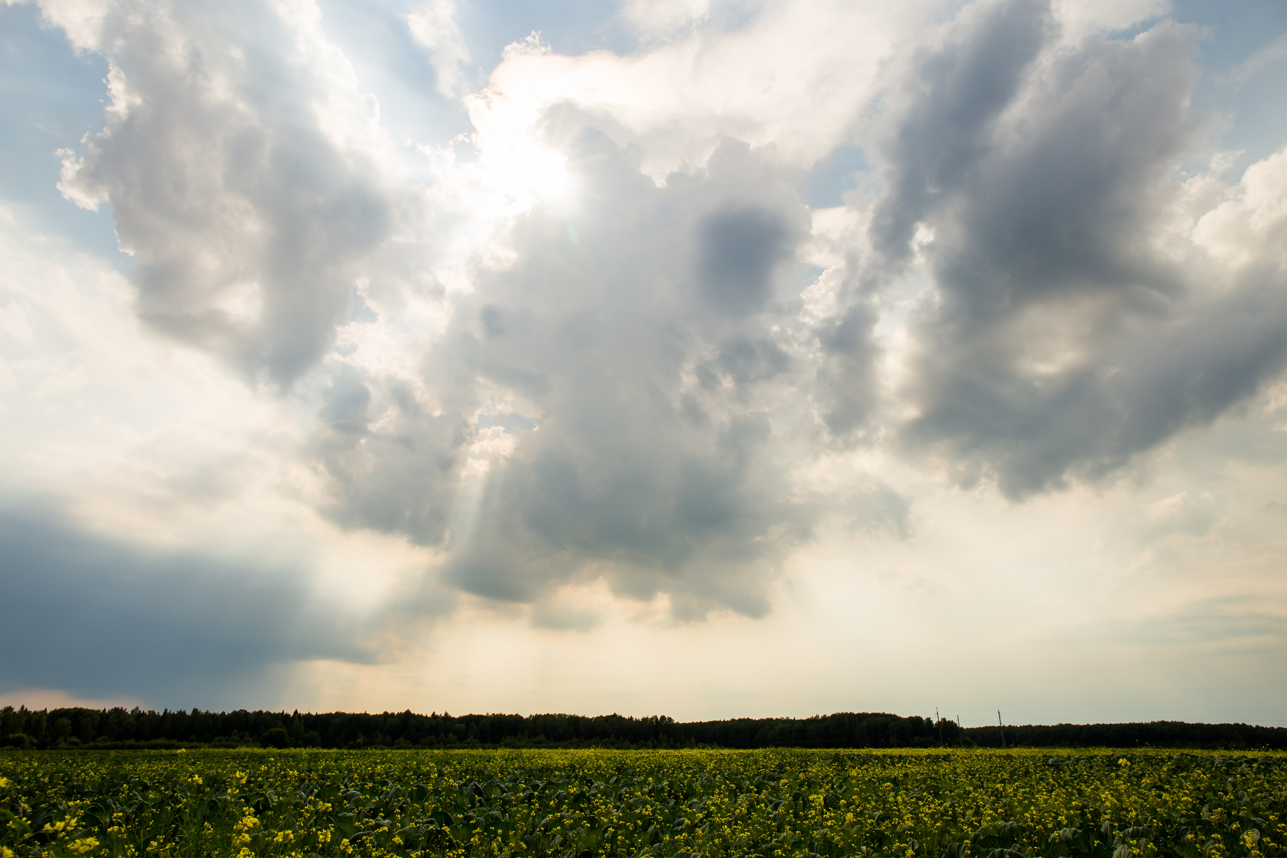 Vremea azi, 21 februarie. Apar nori în aproape toata țara. Temperaturile rămân plăcute
