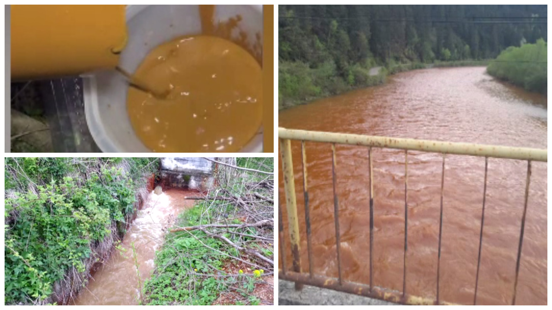 Poluare masivă pe râul Bistrița. Ce indică primele rezultate ale analizelor din apă