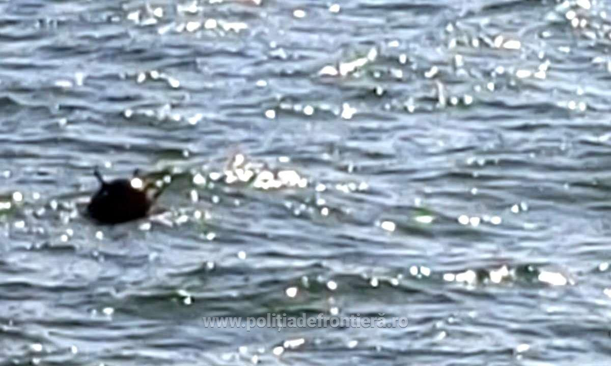 O mină marină în derivă a fost identificată de Garda de Coastă în apropiere de Sulina