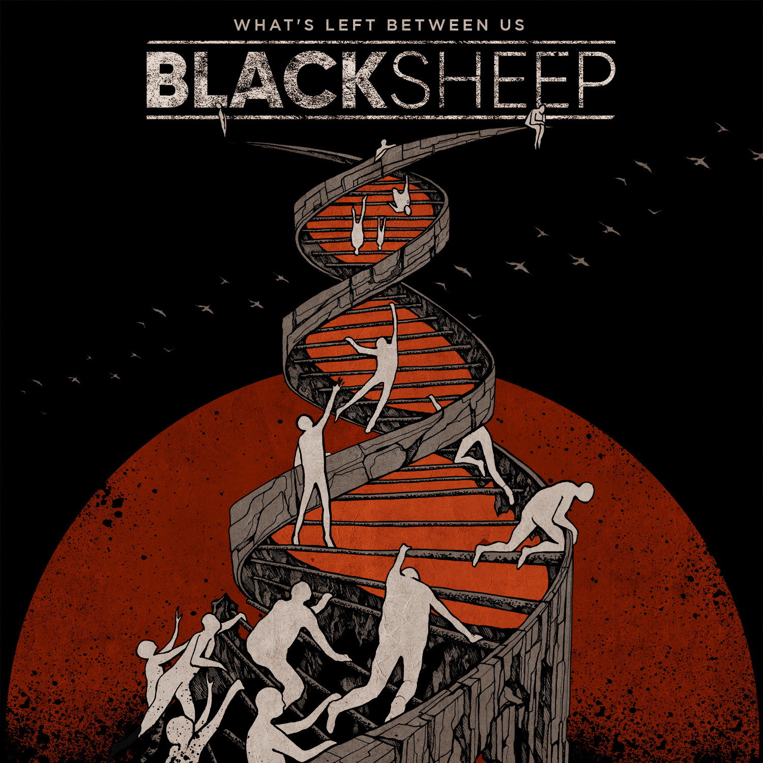 Blacksheep