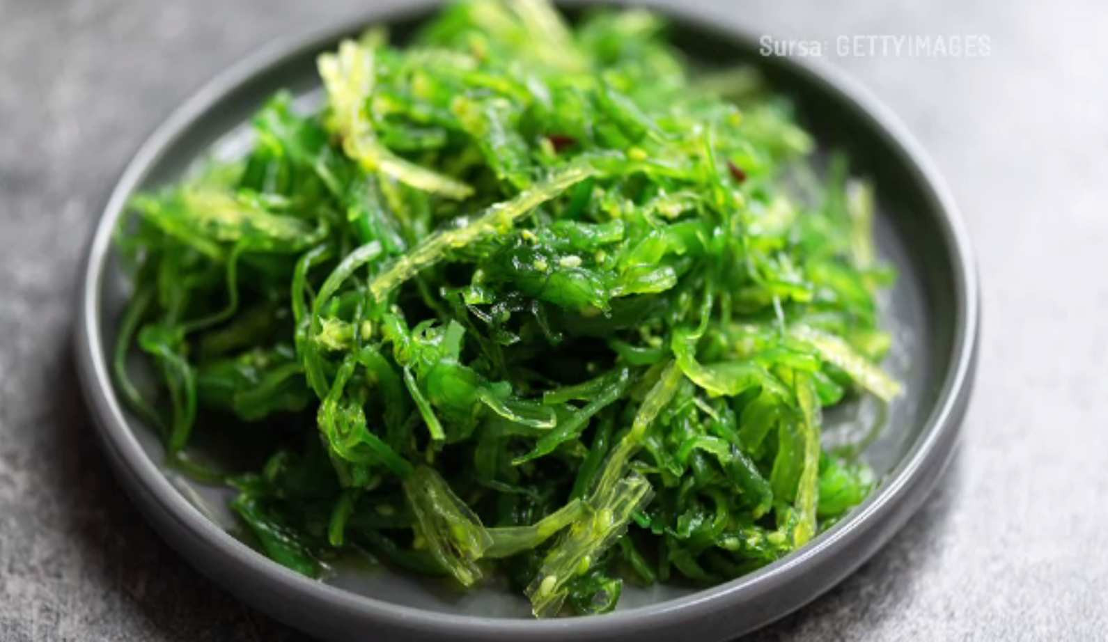 Algele din Marea Neagră ar putea ajunge în farfurie. Solicitarea Comisiei Europene