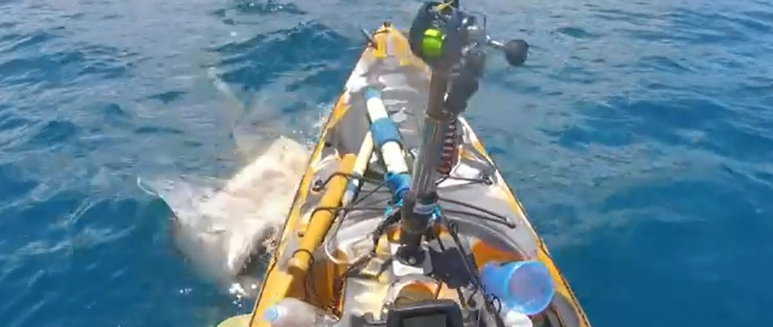 Un pescar din Hawaii a surprins momentul în care a fost atacat de un rechin de 7 metri. Cum s-a terminat incidentul