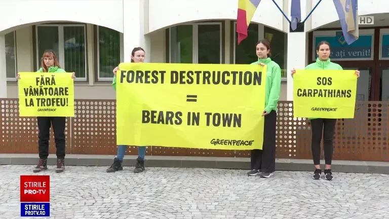 Europarlamentarii ne numără urșii, după ce au primit petiții în privința animalelor sălbatice și a tăierii pădurilor