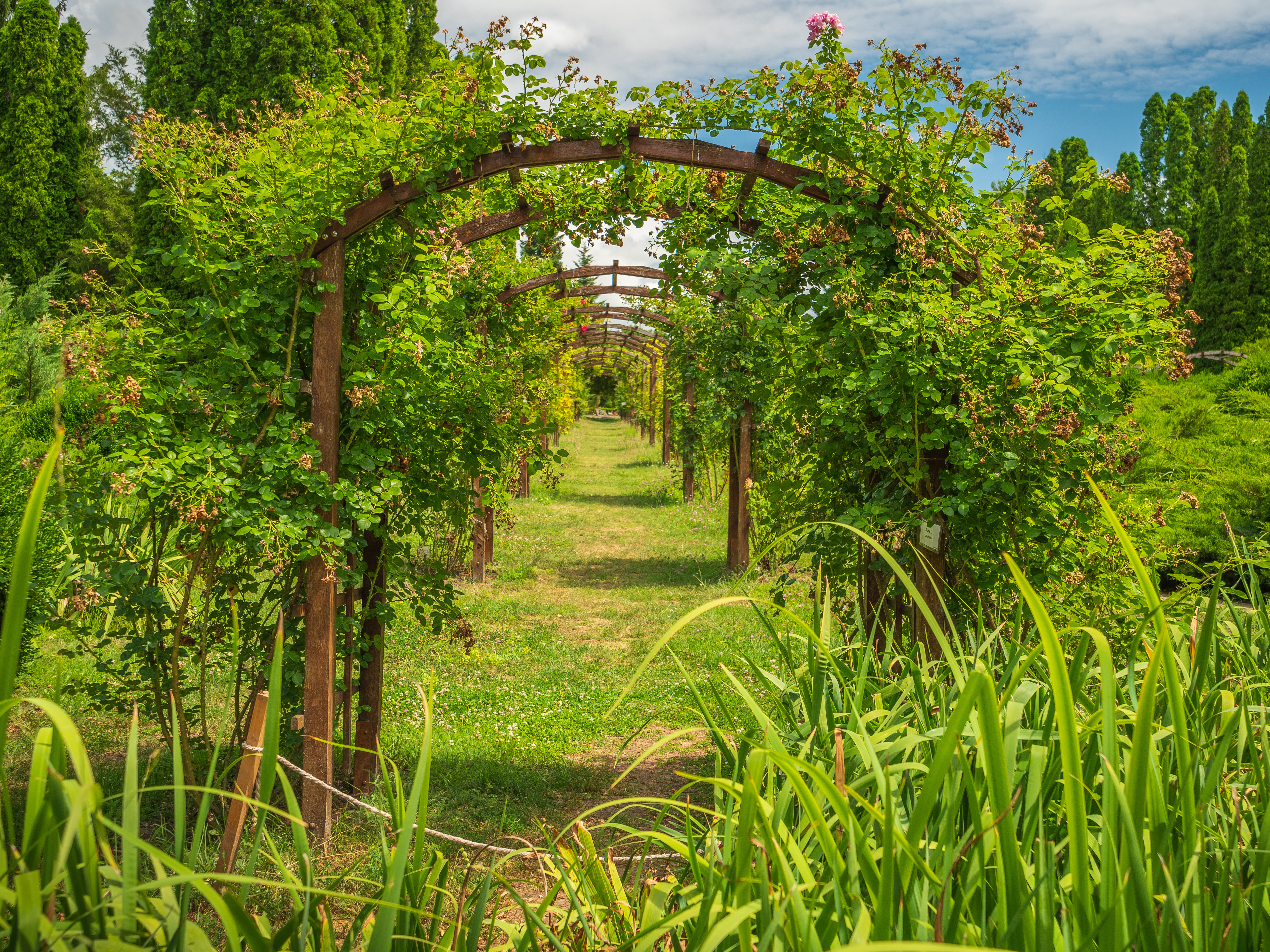 Iasi - obiective turistice