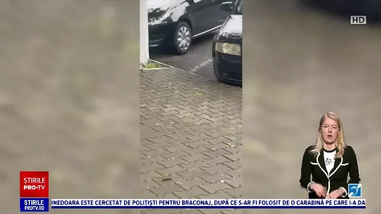 Orașul din România care este terorizat de șobolani. „Sunt mari, dacă mușcă un copil"