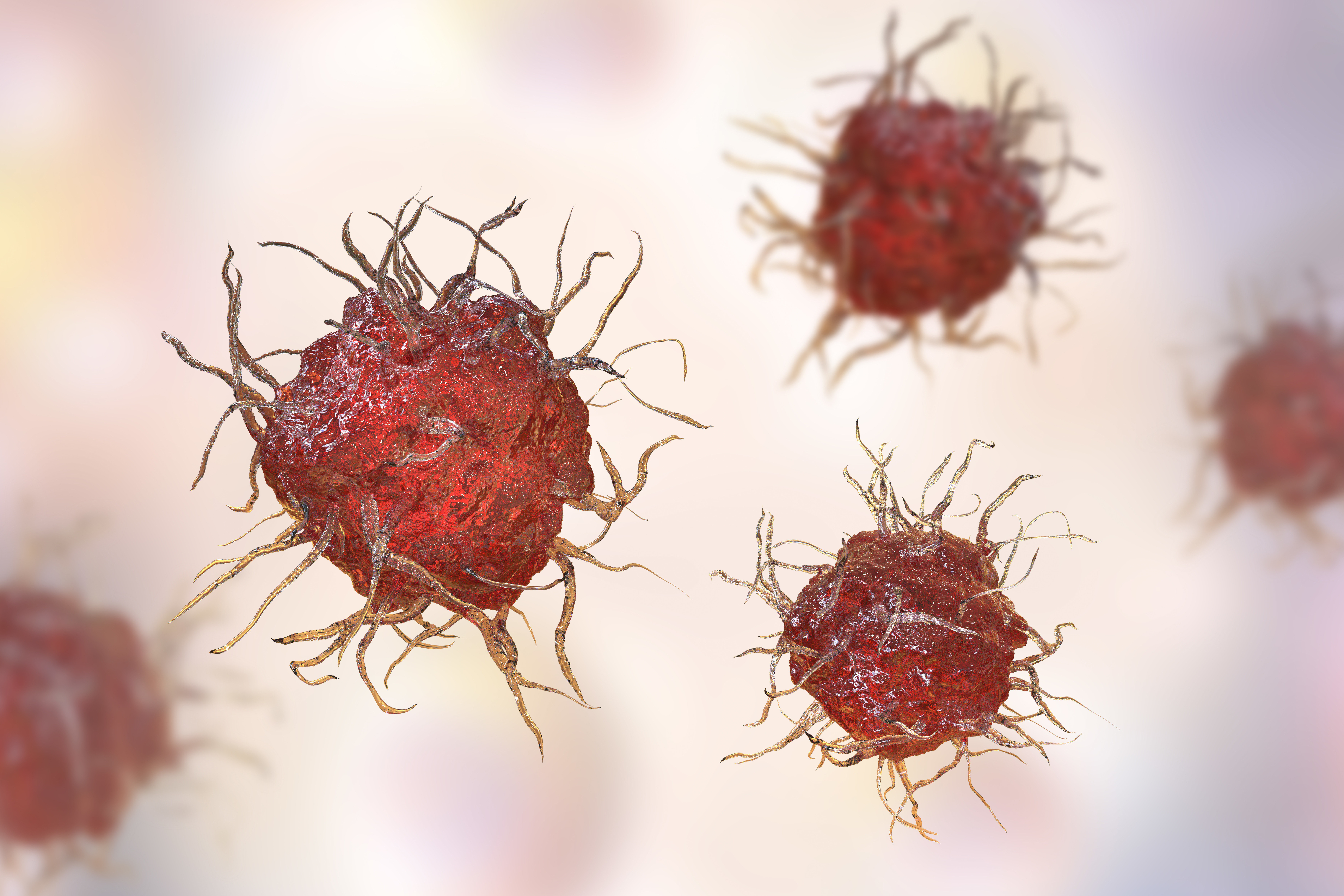 Fibrinogenul, o proteină pe care o fabrică ficatul. Cum traducem această informație în obezitate și diabet