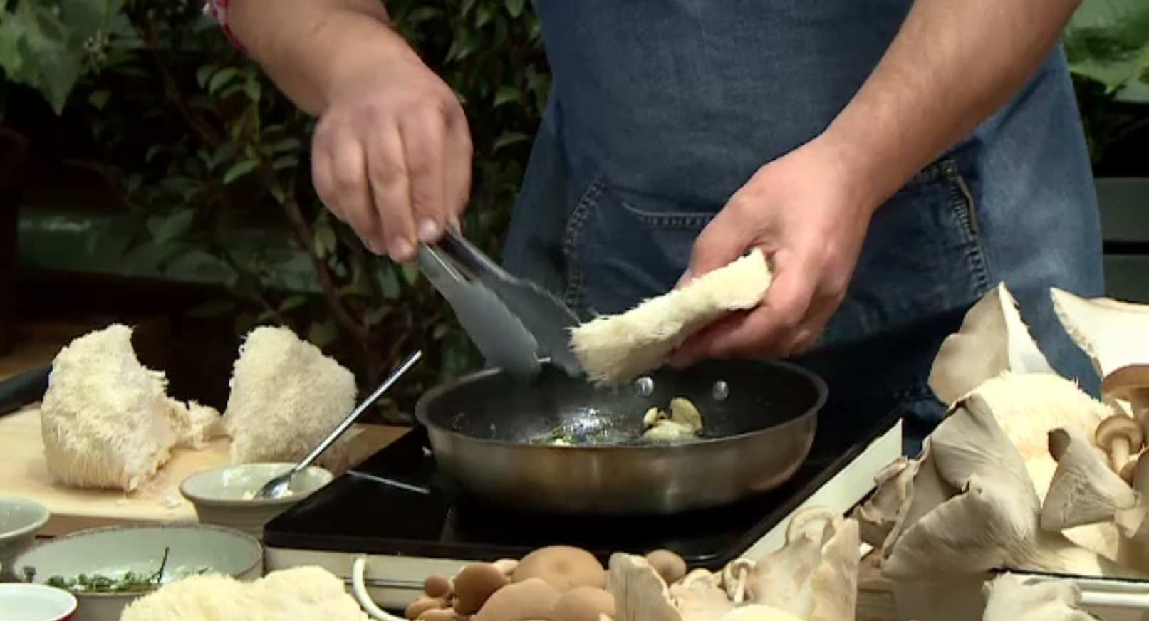 A început sezonul ciupercilor. Care sunt cele mai spectaculoase tipuri preferate de români