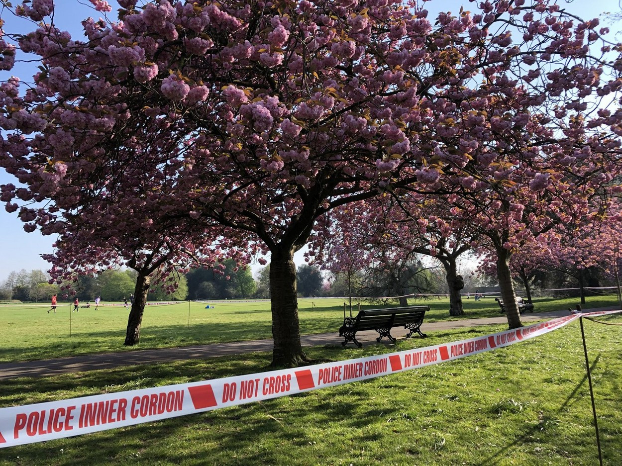 Un bărbat și-a omorât fiul de 11 ani în bătaie, apoi a sunat la ambulanță și a spus că băiatul a căzut dintr-un copac