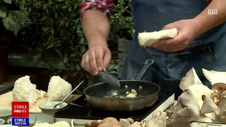 A început sezonul ciupercilor. Care sunt cele mai spectaculoase tipuri preferate de români