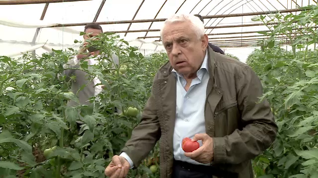 Petre Daea, control fulger în Olt. Mai mulți fermieri ar folosi substanțe interzise pentru a grăbi coacerea roșiilor