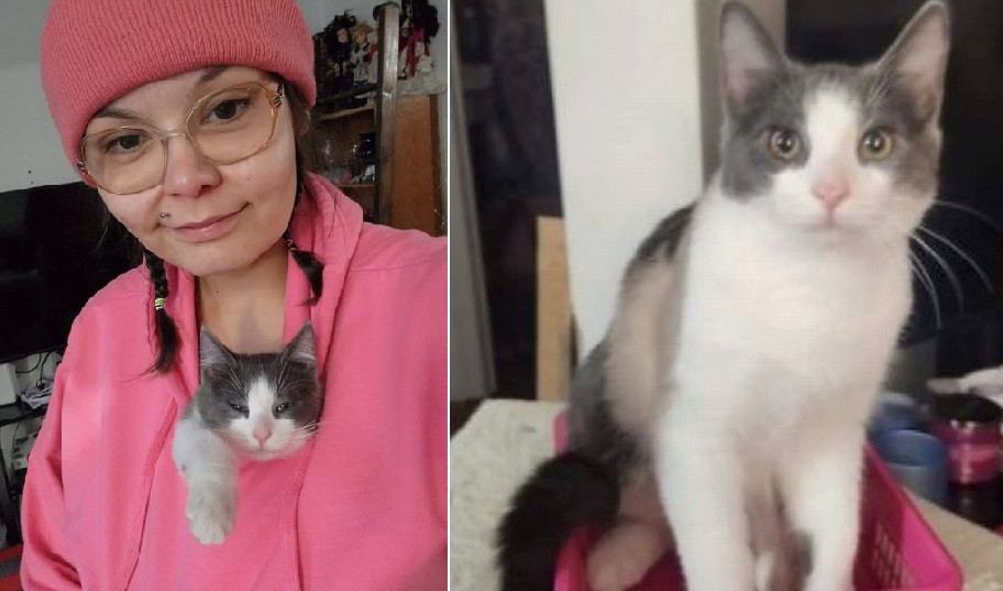 I-au spart casa și i-au "gătit" pisica la microunde. Șocul unei femei când s-a întors din vacanță