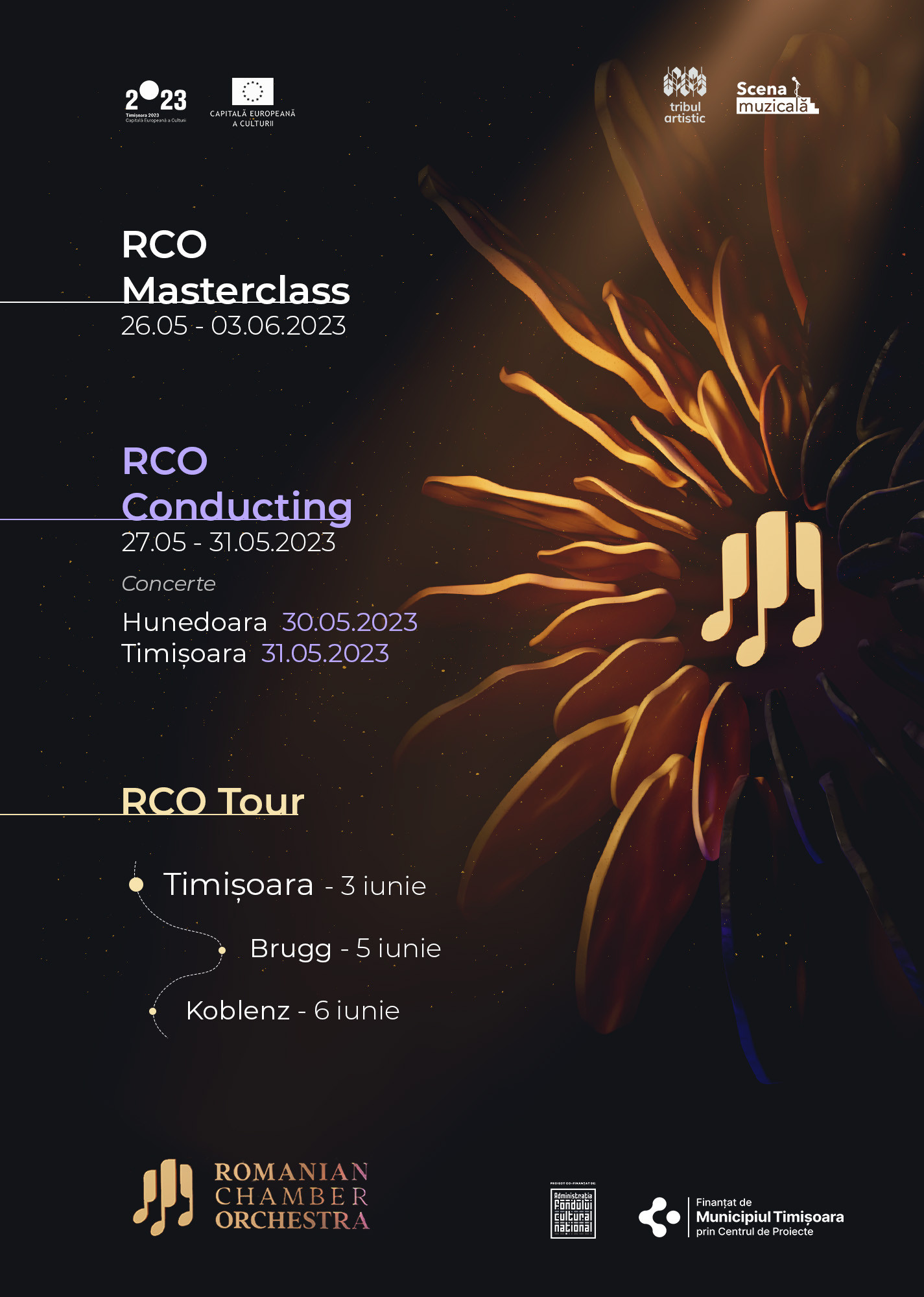 Romanian Chamber Orchestra