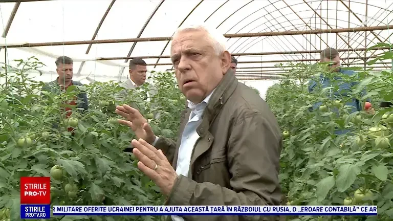 Petre Daea, control fulger în Olt. Mai mulți fermieri ar folosi substanțe interzise pentru a grăbi coacerea roșiilor