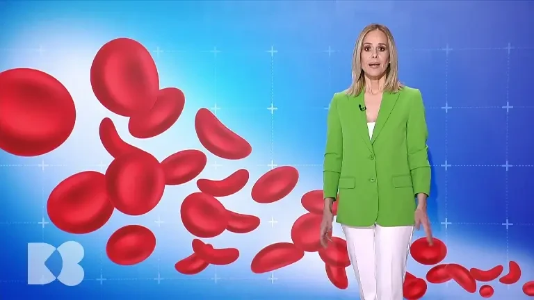 Măduva produce celule stem. Ce este hemoleucograma, cea mai cerută analiză de sânge în toată lumea