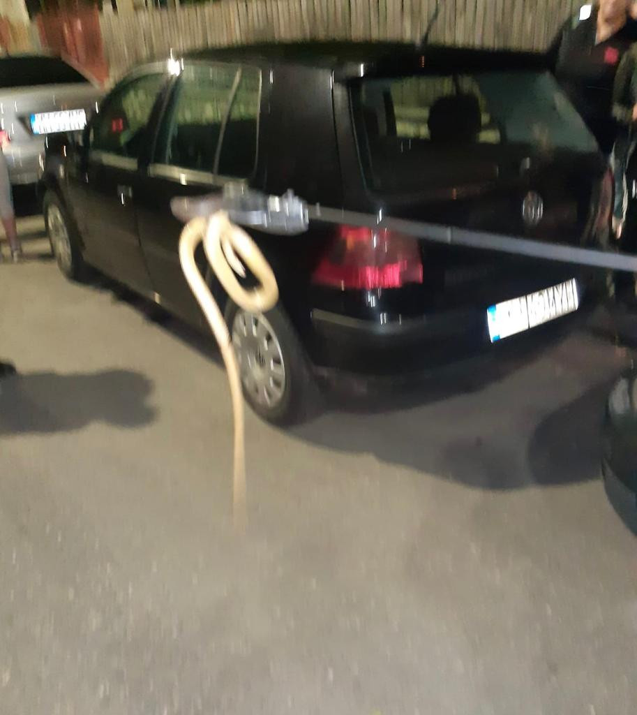 Momente de panică lângă o școală din România. Un șarpe imens a fost găsit în motorul unei mașini | FOTO