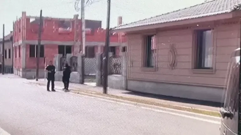 Oameni atacați de albine agresive în Arad. Imagini de la intervenția jandarmilor | VIDEO