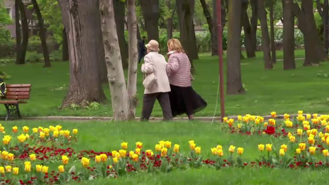 Petiție online pentru salvarea unui simbol al Iașiului. Localnicii nu sunt de acord cu schimbările care vor avea loc în oraș