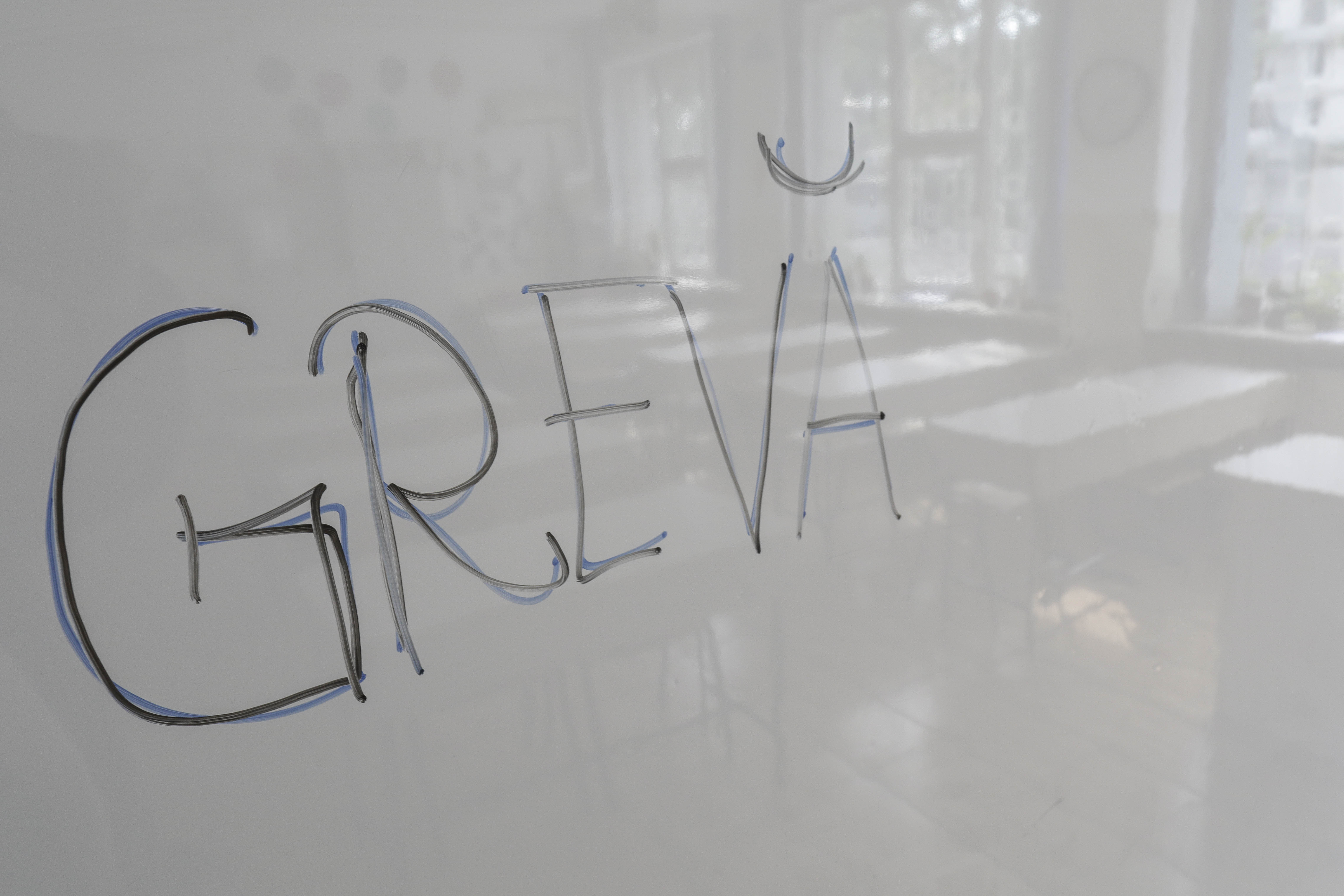 O nouă grevă, de data asta "japoneză". Instituția care cere sporuri de "complexitatea muncii" și de "condiții vătămătoare"