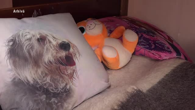 „Eram un pic beat și nebun. Am dat pantalonii jos și i-am arătat”. Gestul obscen al unui tată făcut în fața copiilor