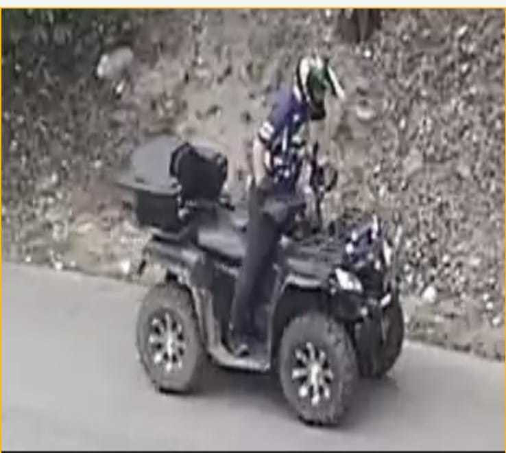 Polițiștii din Gorj fac apel la populație pentru identificarea unui bărbat care a abandonat trei căței