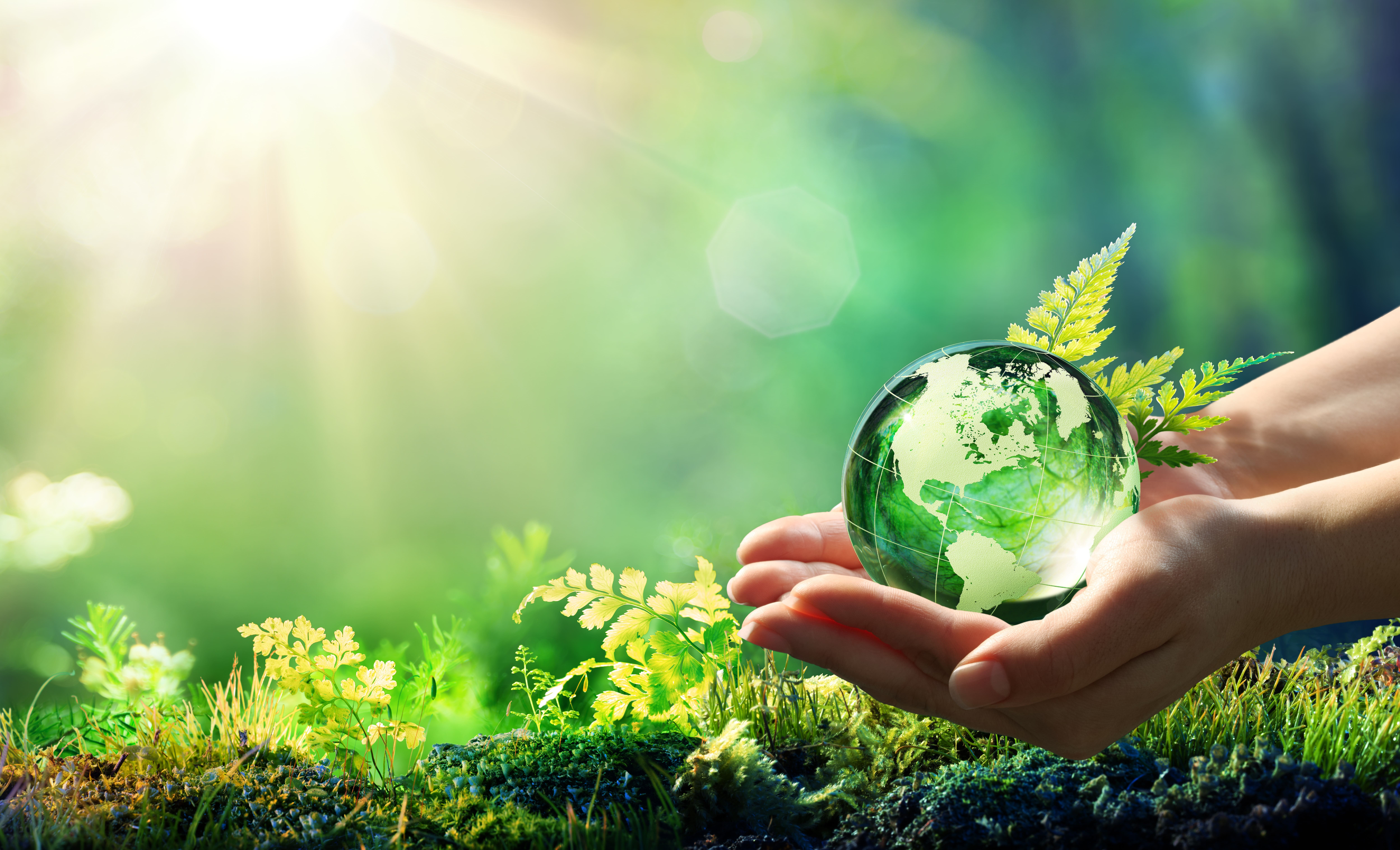 5 iunie - Ziua Mondială a Mediului înconjurător