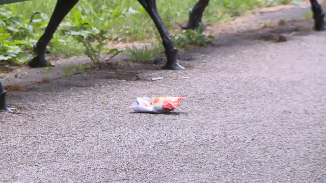 S-ar putea mări amenzile în București pentru cei care rup flori, taie copaci sau aruncă gunoaie pe jos