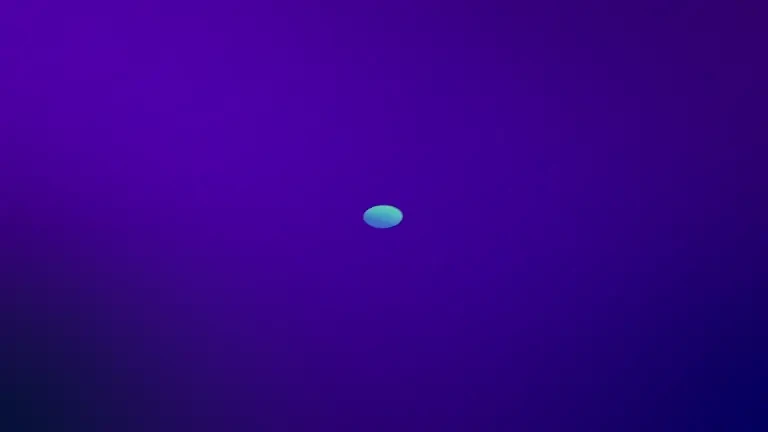 Inteligența Artificială nu poate fi oprită, e deja în mâinile a sute de mii de dezvoltatori – cofondator Wikipedia