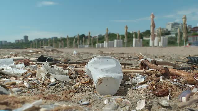 Care sunt cele mai murdare plaje din România. Biolog marin: ”Dacă mergeți în zonă vă speriați, vă îngroziți, efectiv!"