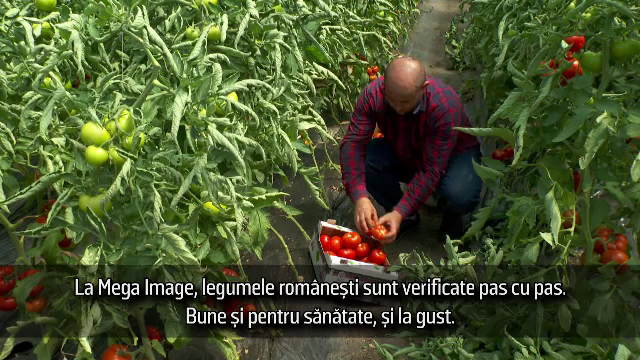 (P) Peste 300 de producători locali fac parte din programul susținut de Mega Image ”Gusturi românești de la gospodari”