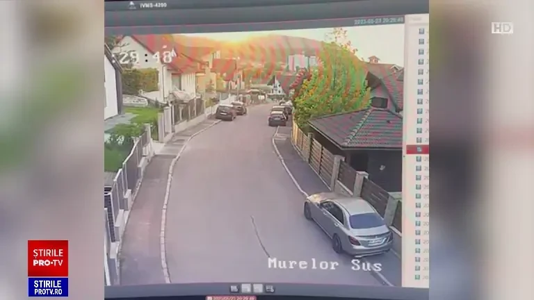 Momente de groază pentru o femeie din Braşov. Un urs a trecut chiar prin faţa ei în timp ce stătea liniştită în curte