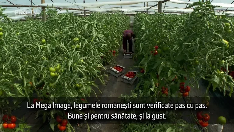Peste 300 de producători locali fac parte din programul susținut de Mega Image ”Gusturi românești de la gospodari”