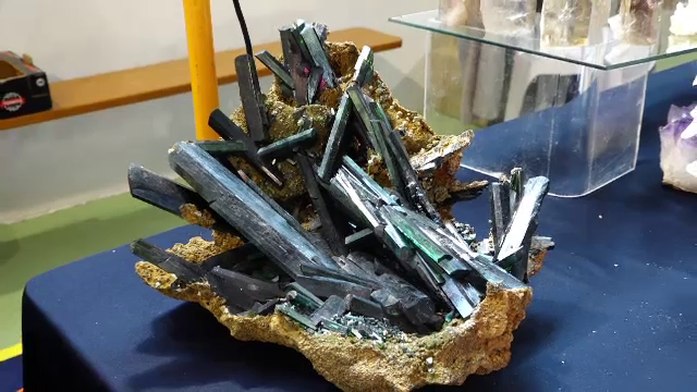 Suma uriașă cu care se vinde o floare de mină, la o expoziție în Maramureș. Au venit colecționari din toată lumea