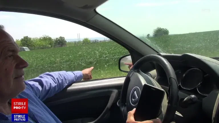 Ciorile fac prăpăd zeci de hectare de culturi agricole în fiecare an. Păgubit: ”Scoate porumbul şi la 20 de cm înălţime”