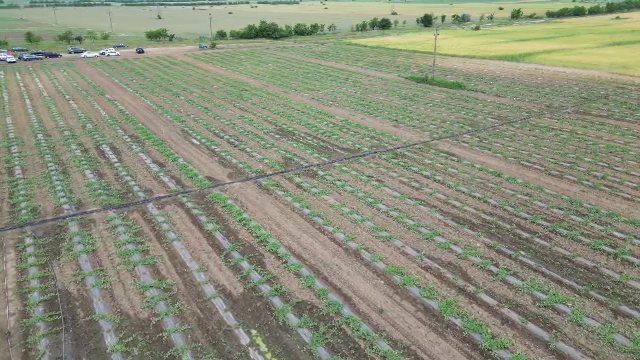 Arme noi în lupta cu seceta, pentru fermieri. Programul pilot, de 40 de milioane de euro, demarat de Ministerul Agricultruii