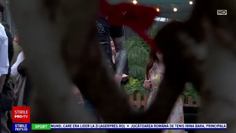 Sera din Iași care s-a transformat, zilele acestea, într-o adevărată grădină botanică. Exponatele au fost de vânzare