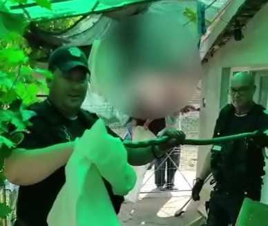 Șarpe ascuns într-o canapea, scos de jandarmii din Tulcea și ulterior eliberat în natură