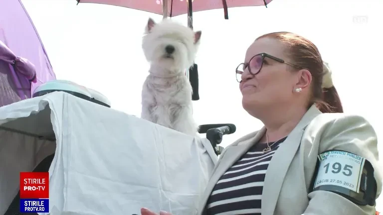 Concurs de frumuseţe canin la Cluj. Cine a câştigat trofeul pentru cel mai frumos câine