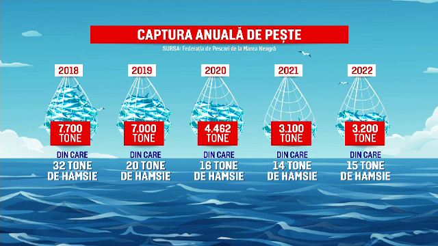 Hamsia se prinde tot mai greu la noi în țară. Pescarii dau vina pe lucrările de lărgire a plajelor. „Luna mai a fost proastă”